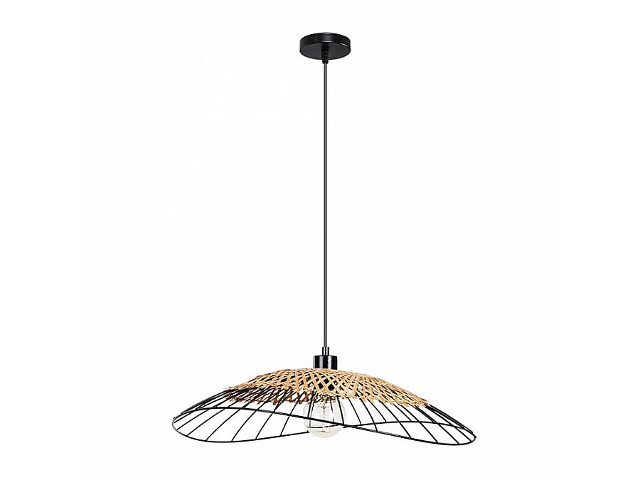 Подвесной светильник Arte Lamp Woodstock A7061SP-1BK