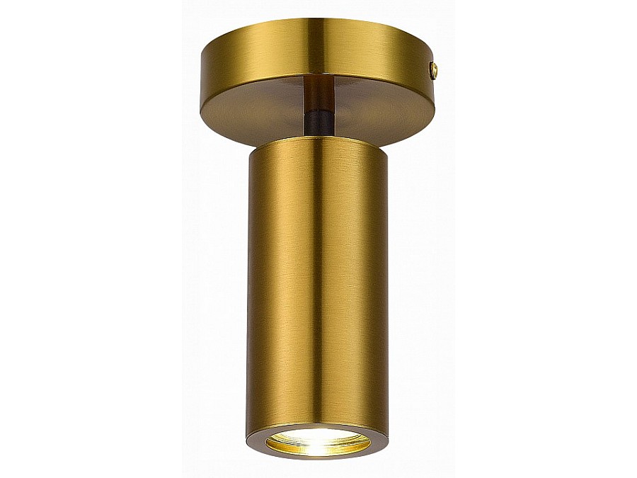 Светильник на штанге ST-Luce Talia SL1215.402.01