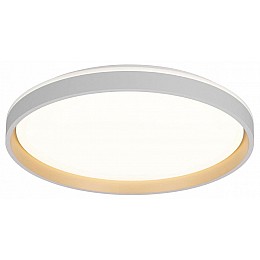 Накладной светильник Citilux ENZO CL753510G