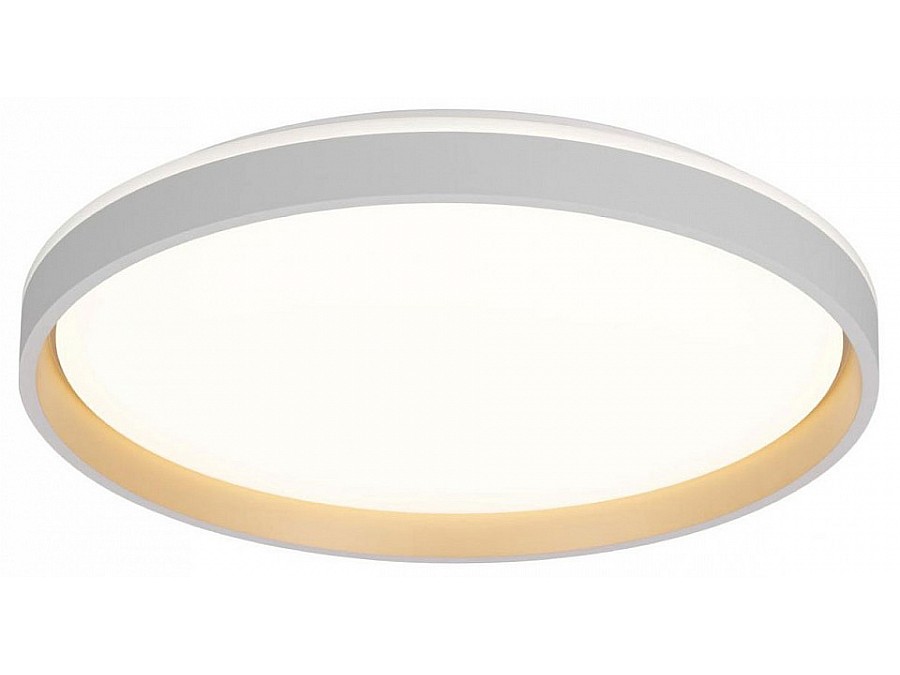 Накладной светильник Citilux ENZO CL753510G