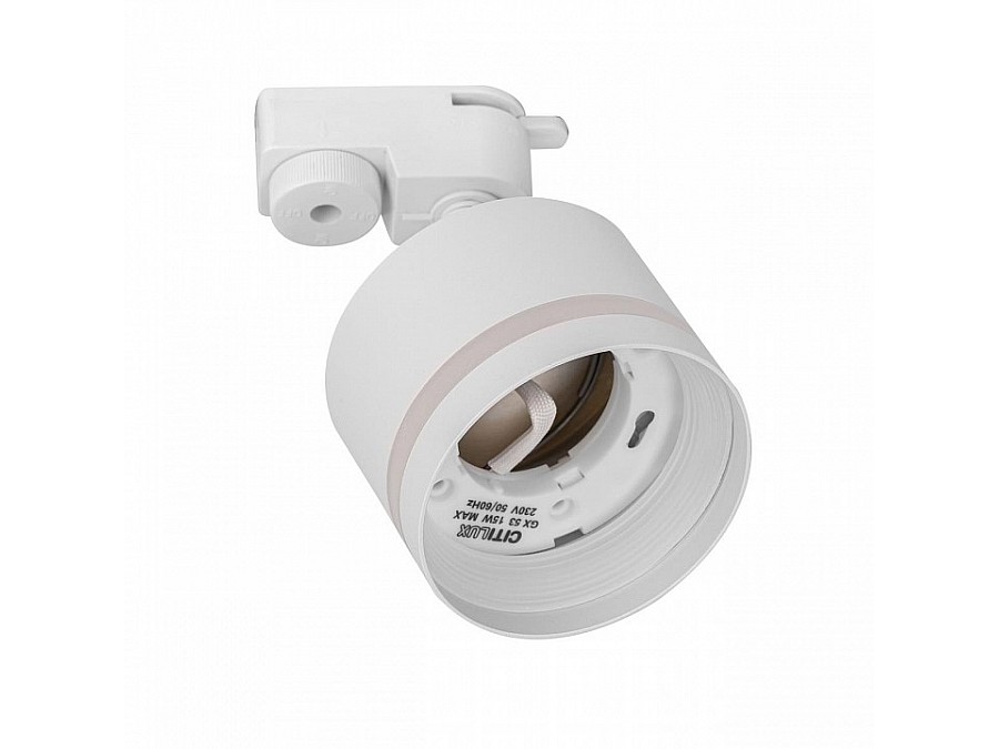 Светильник на штанге Citilux Hardy CL002T10
