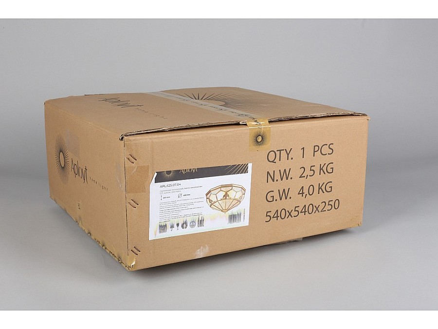 Накладной светильник Aployt Leoni APL.625.07.04