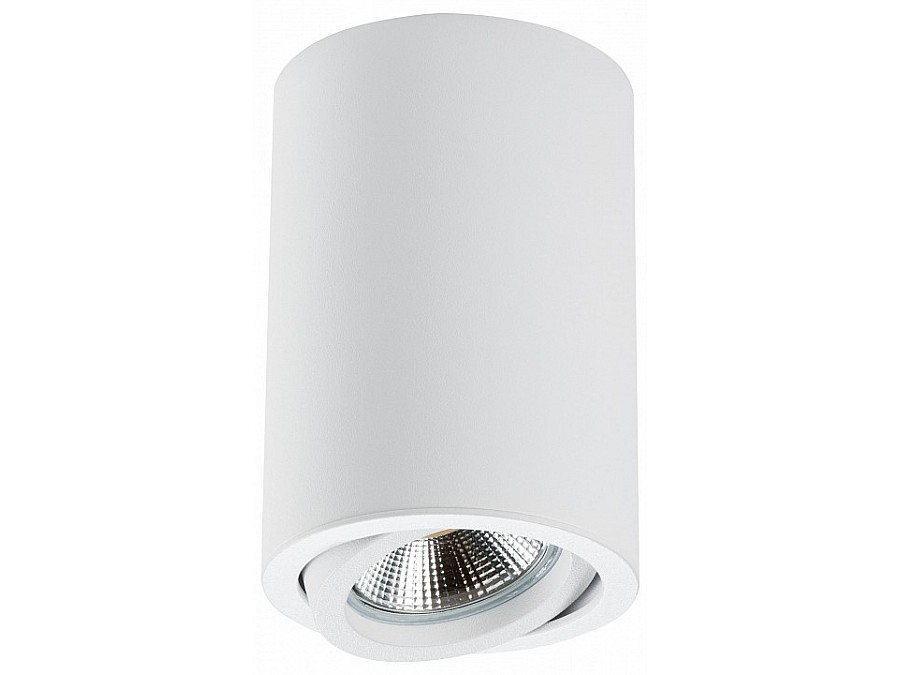 Накладной светильник Lightstar Rullo 214406