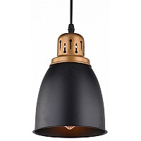 Подвесной светильник Arte Lamp Eurica A4248SP-1BK