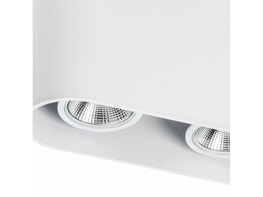 Накладной светильник Lightstar Rullo 214866