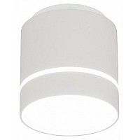 Накладной светильник Citilux Борн CL745020N