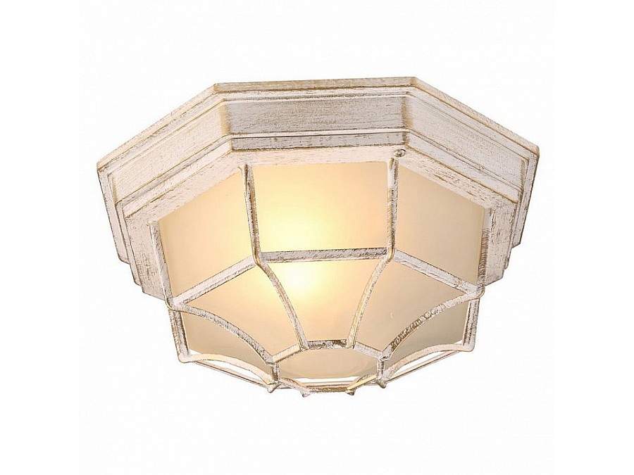 Накладной светильник Arte Lamp Pegasus A3121PF-1WG