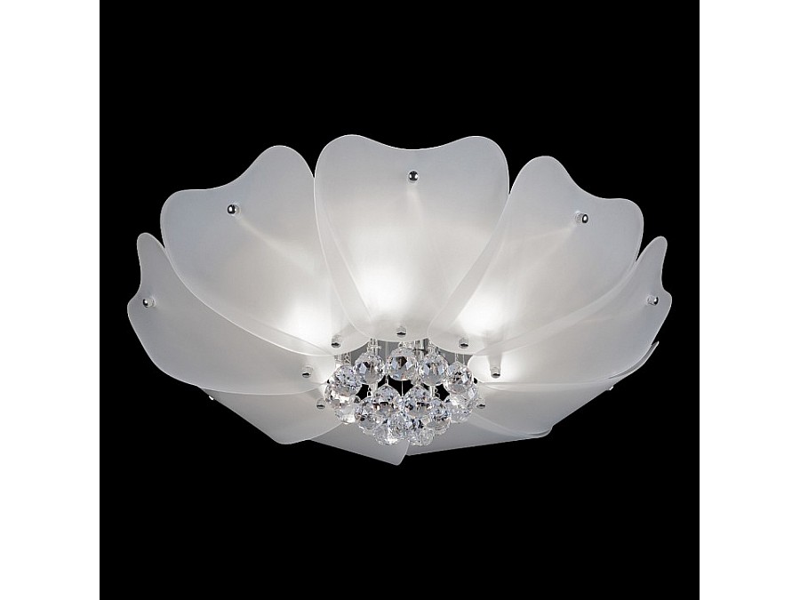 Накладной светильник Lightstar Lobo 804020