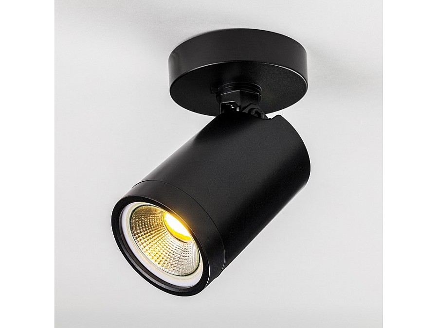 Светильник на штанге Lightstar Rullo 213407