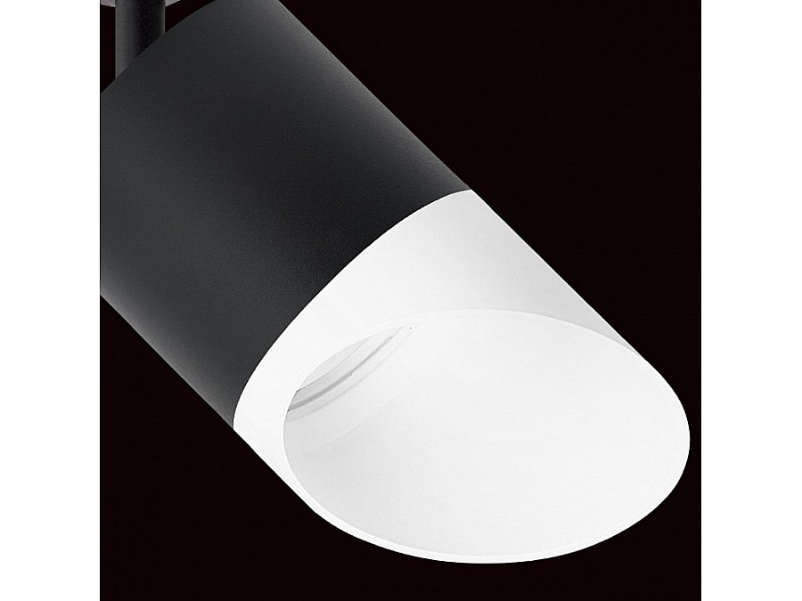 Светильник на штанге Lightstar Rullo R1T348786
