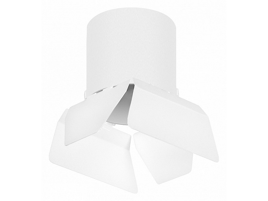 Накладной светильник Lightstar Rullo R3486486