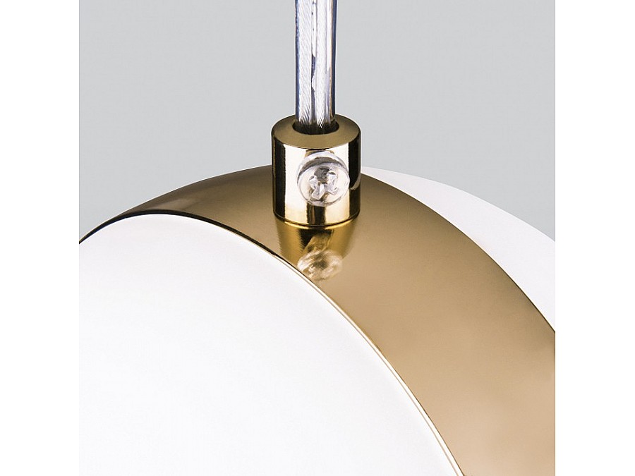 Подвесной светильник Elektrostandard DLN050 a047809