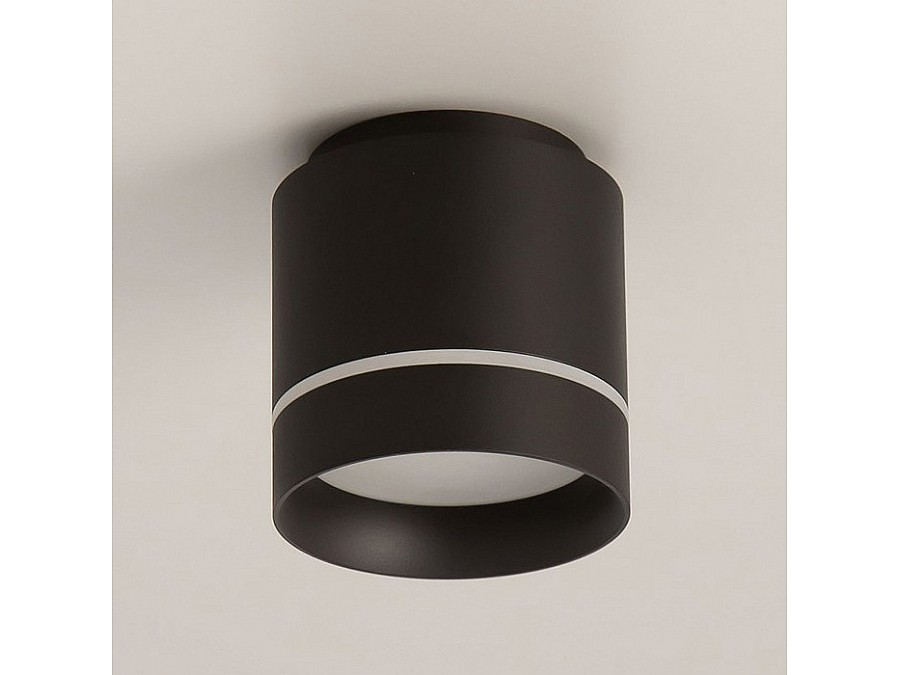 Накладной светильник Citilux Борн CL745021N