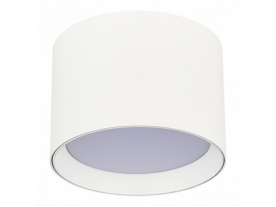 Накладной светильник ST-Luce  ST163.502.01.02