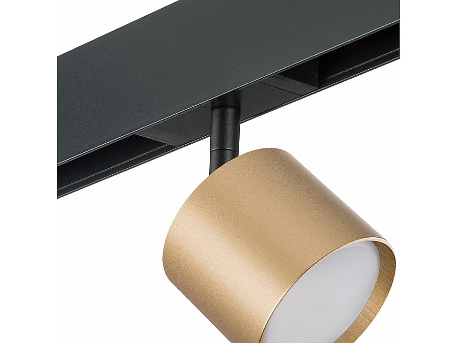 Светильник на штанге Lightstar Rullo PRO3490