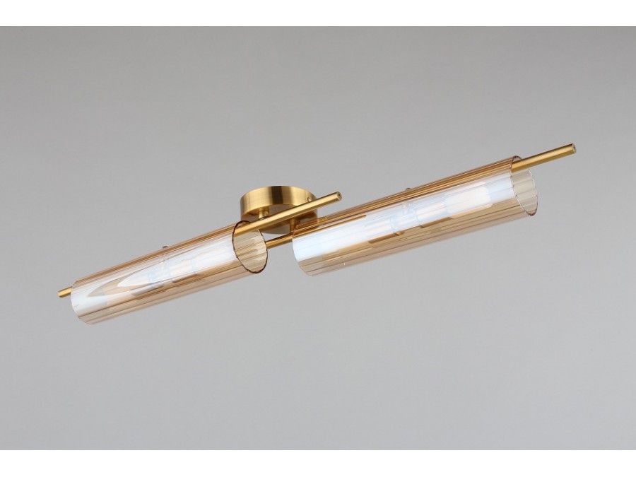 Накладной светильник Aployt Lusia APL.315.07.04