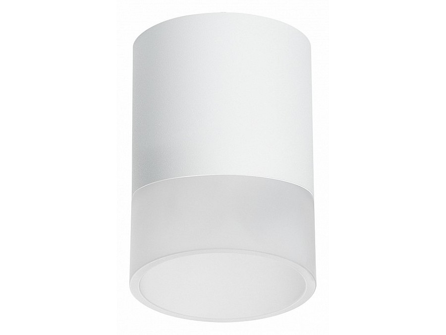 Накладной светильник Lightstar Rullo R348681
