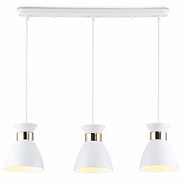 Подвесной светильник Ambrella Light TR TR8466