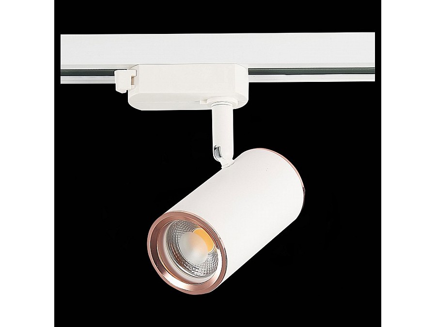 Светильник на штанге ST-Luce Cromi ST301.526.01