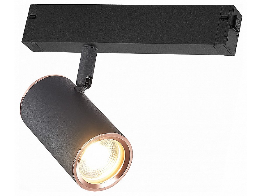 Светильник на штанге ST-Luce SKYLINE 220 ST504.426.01