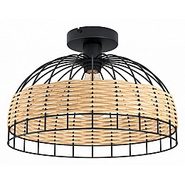 Накладной светильник Eglo Anwick 43398