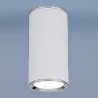 Накладной светильник Elektrostandard DLN101 a043967