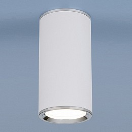 Накладной светильник Elektrostandard DLN101 a043967