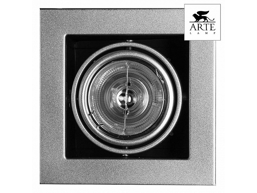 Встраиваемый светильник Arte Lamp Technika 2 A5930PL-1SI