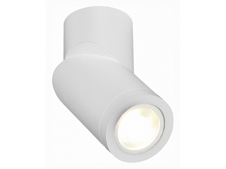 Светильник на штанге ST-Luce ST650 ST650.502.01