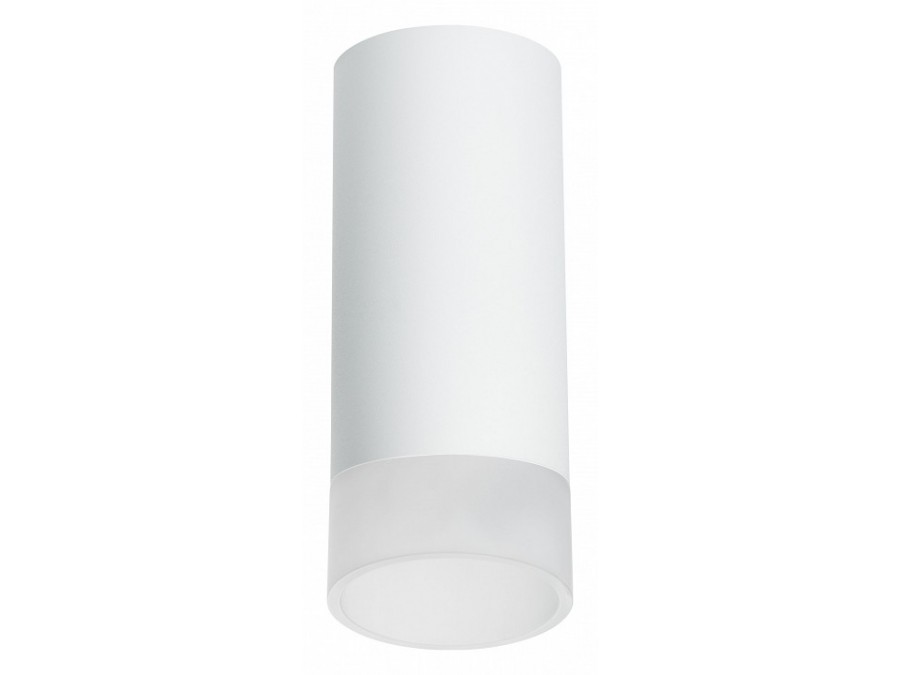 Накладной светильник Lightstar Rullo R648681