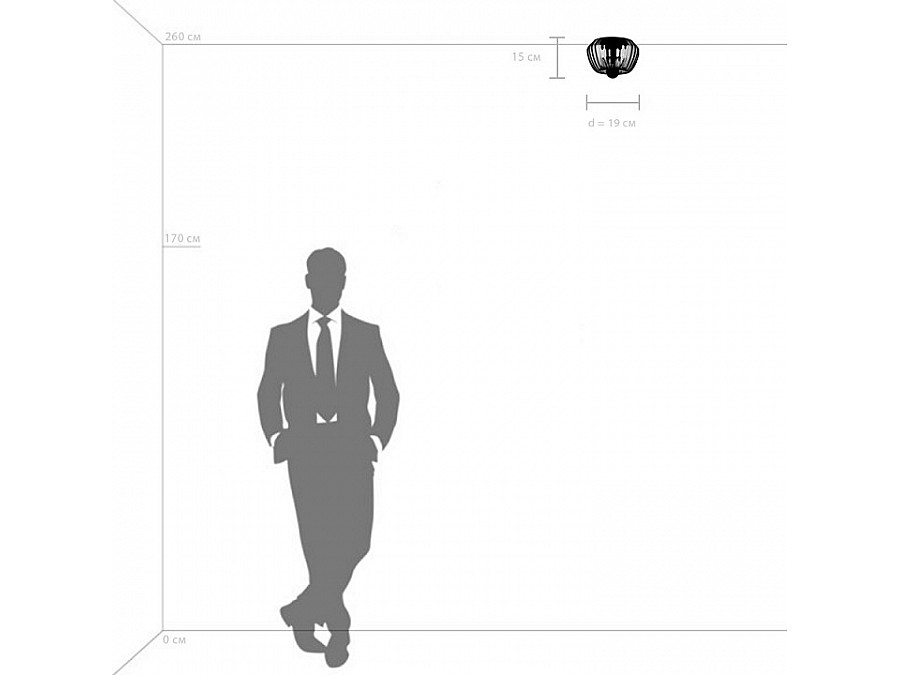 Накладной светильник Lightstar Celesta 809003