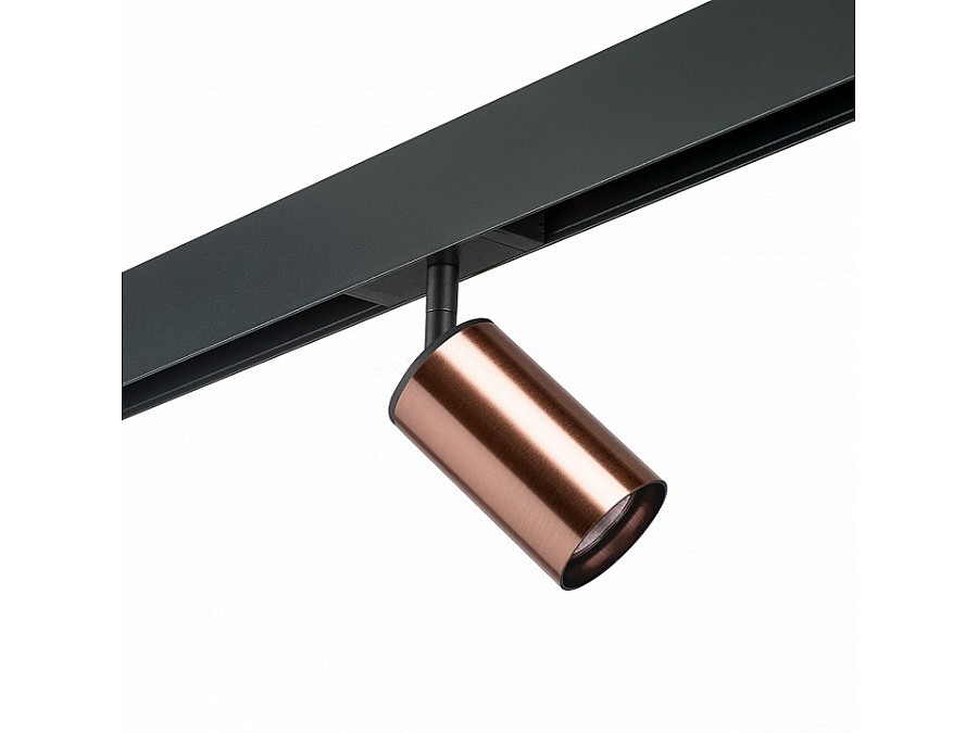 Светильник на штанге Lightstar Rullo PRO430