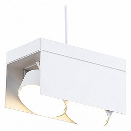 Подвесной светильник Ambrella TN TN70857