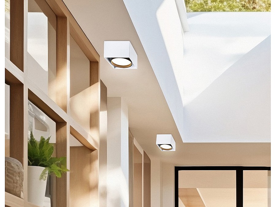 Накладной светильник Ambrella Light TN TN70865