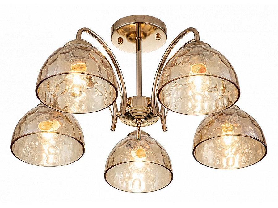 Накладной светильник Escada Mallow 665/5P