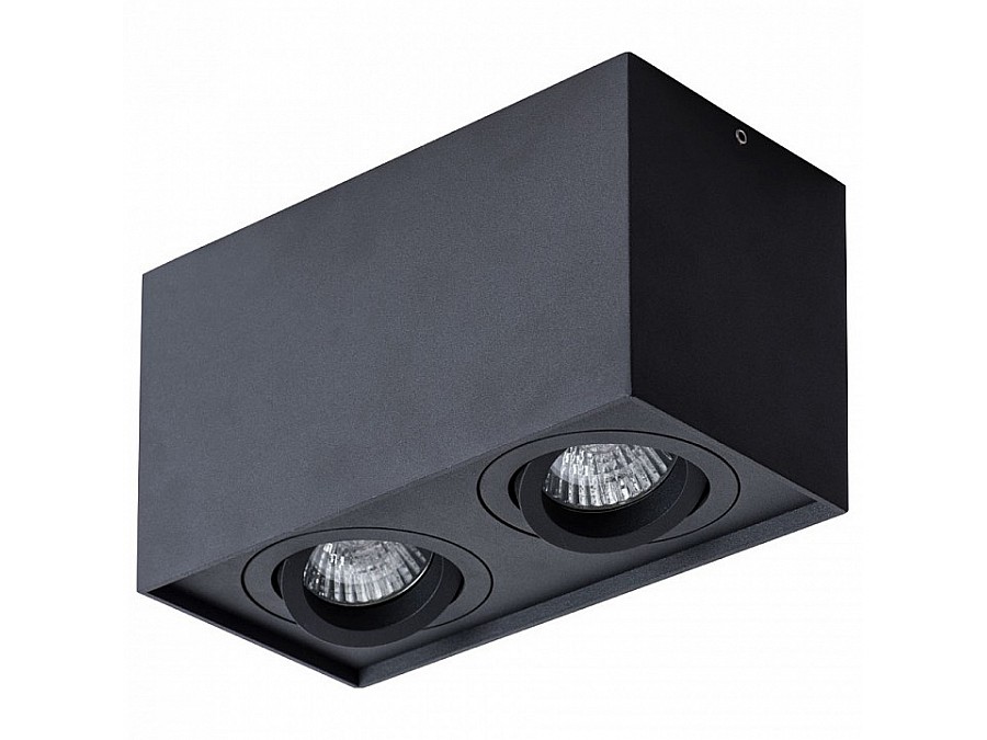 Накладной светильник Arte Lamp Factor A5544PL-2BK