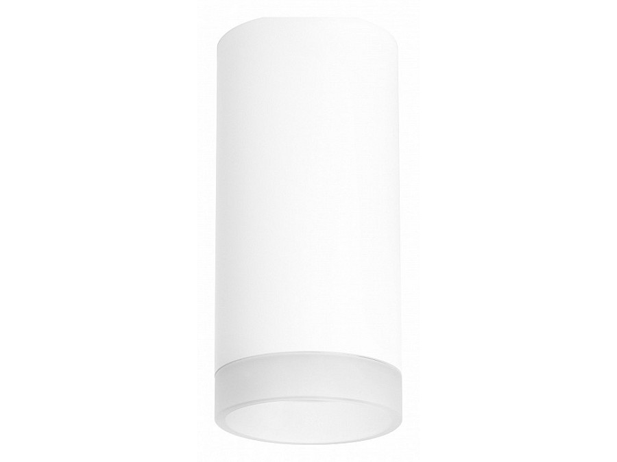 Накладной светильник Lightstar Rullo R648680