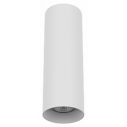 Накладной светильник Lightstar Rullo 216496