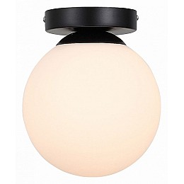 Накладной светильник EVOLUCE Acini SL717.401.01