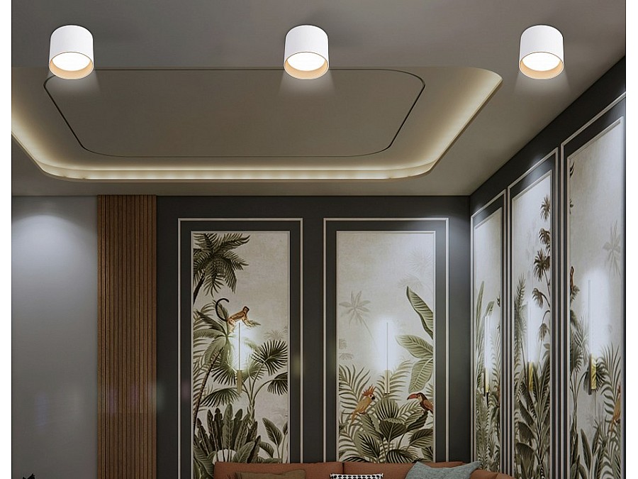 Накладной светильник Ambrella Light TN TN5304