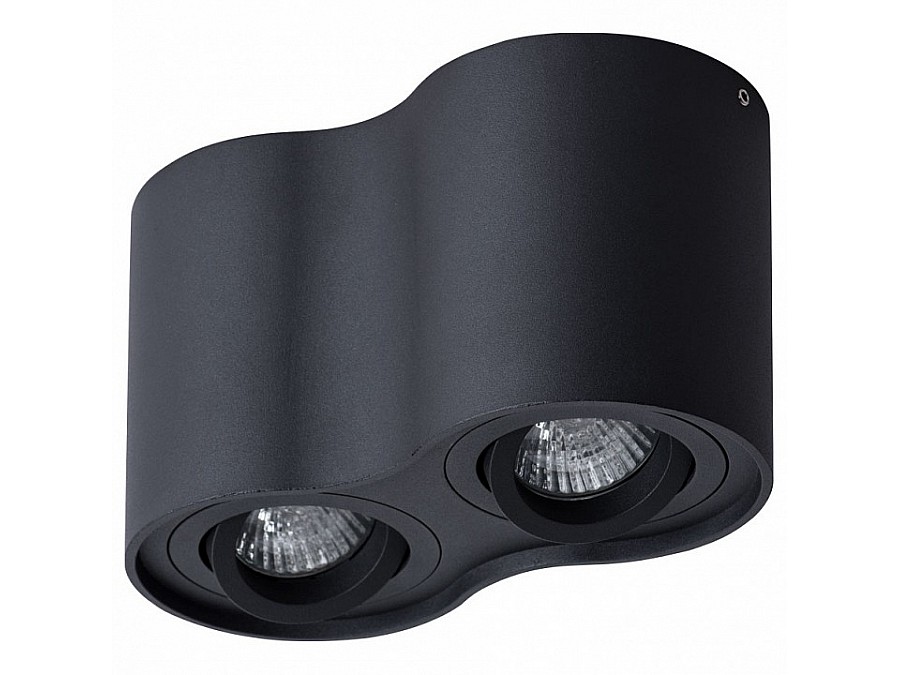 Накладной светильник Arte Lamp Falcon A5645PL-2BK