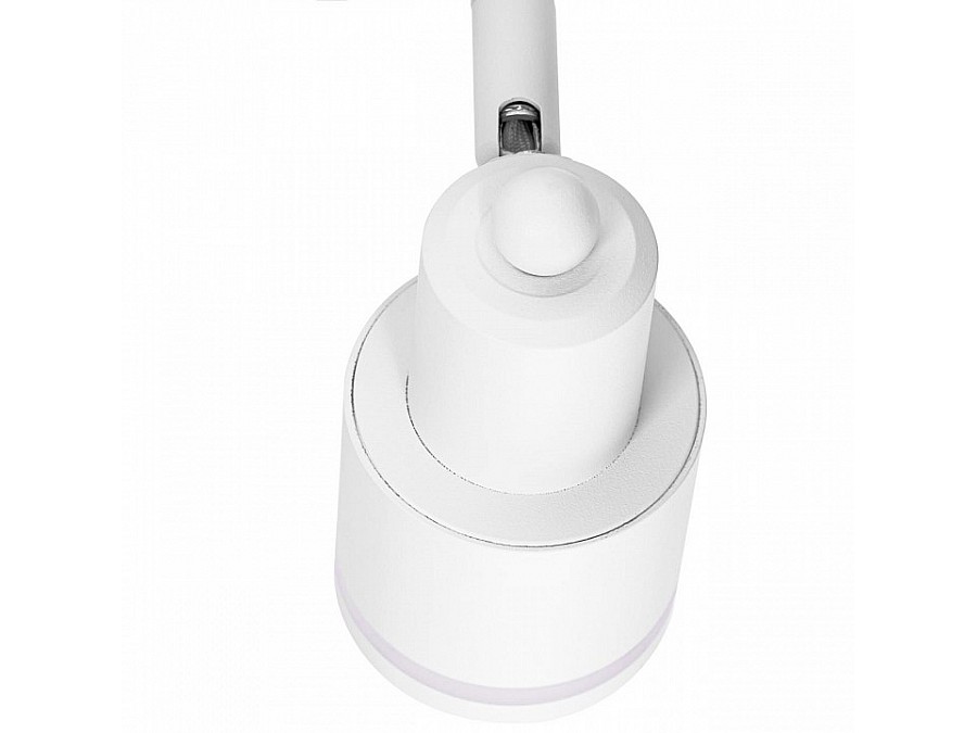 Светильник на штанге Citilux Bruno CL565T10