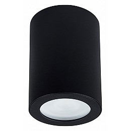 Накладной светильник Arte Lamp Tino A1468PL-1BK