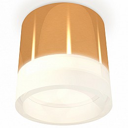 Накладной светильник Ambrella Light XS XS8121010