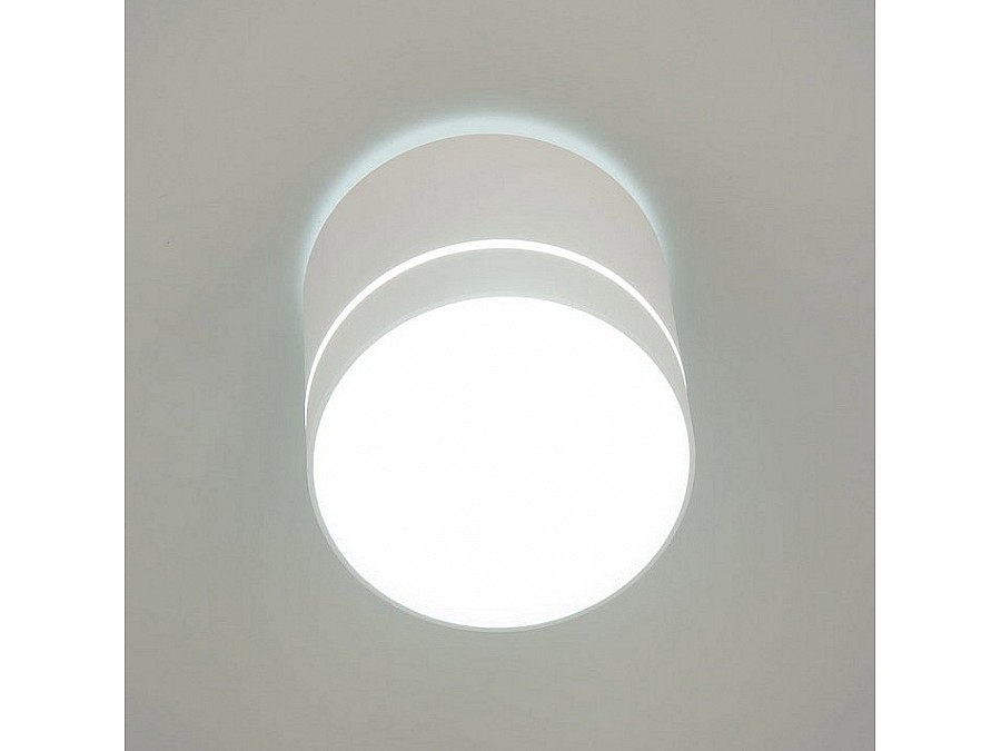 Накладной светильник Citilux Борн CL745020N