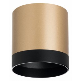 Накладной светильник Lightstar Rullo R34903487