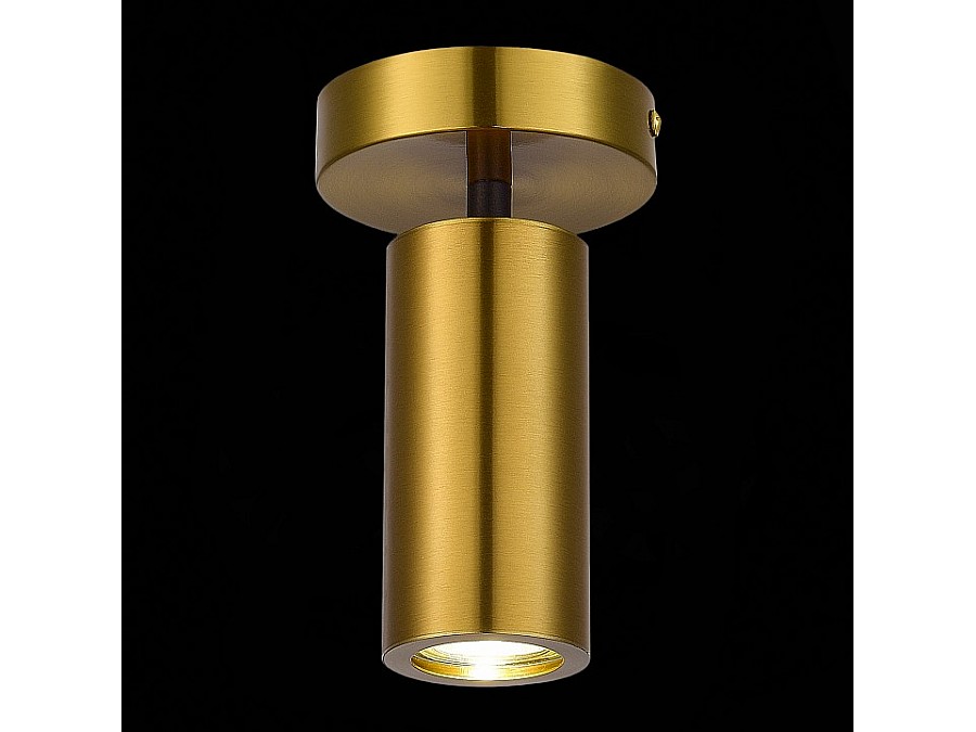 Светильник на штанге ST-Luce Talia SL1215.402.01