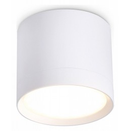 Накладной светильник Ambrella Light TN TN5350