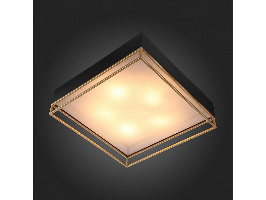 Накладной светильник ST-Luce Chodo SL1127.422.05