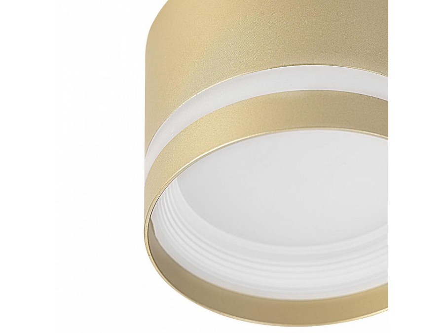 Накладной светильник Citilux Hardy CL002C12